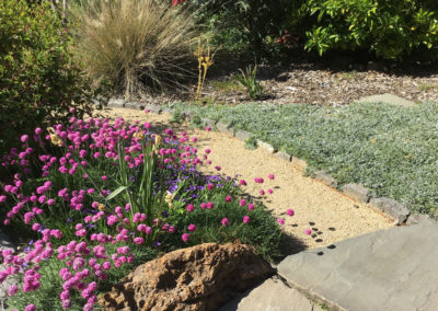 Front Garden Makeover / BERKELEY, CA