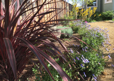 Gorgeous Garden Oasis / Berkeley, CA