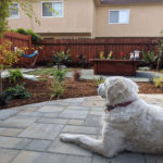 landscape design in alameda, ca