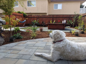 landscape design in alameda, ca