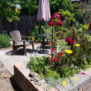 Hardscaping Ideas for East Bay Area Backyards